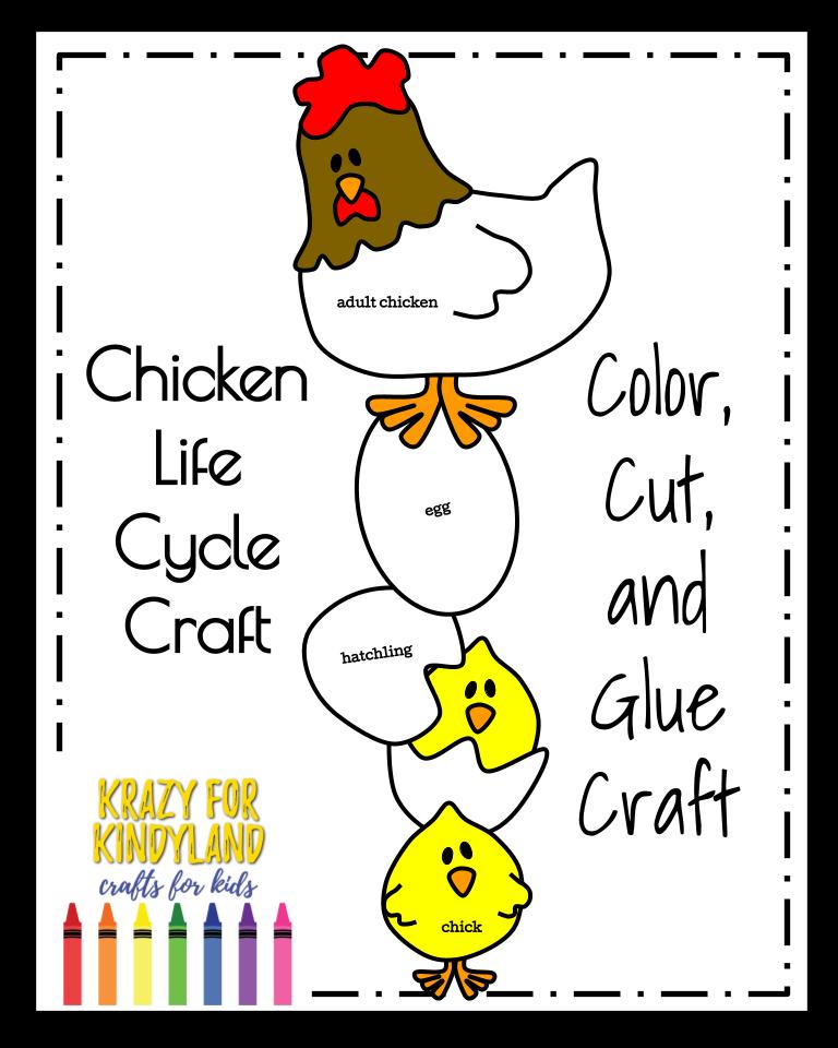 life cycle of a chicken craft