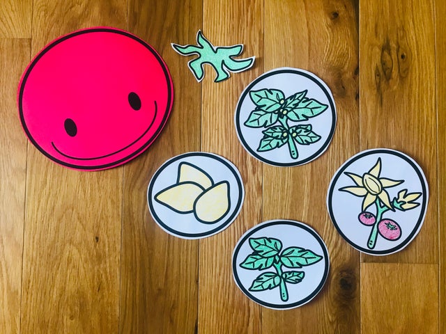 Tomato Life Cycle Activity, Craft for Science Lesson or Center